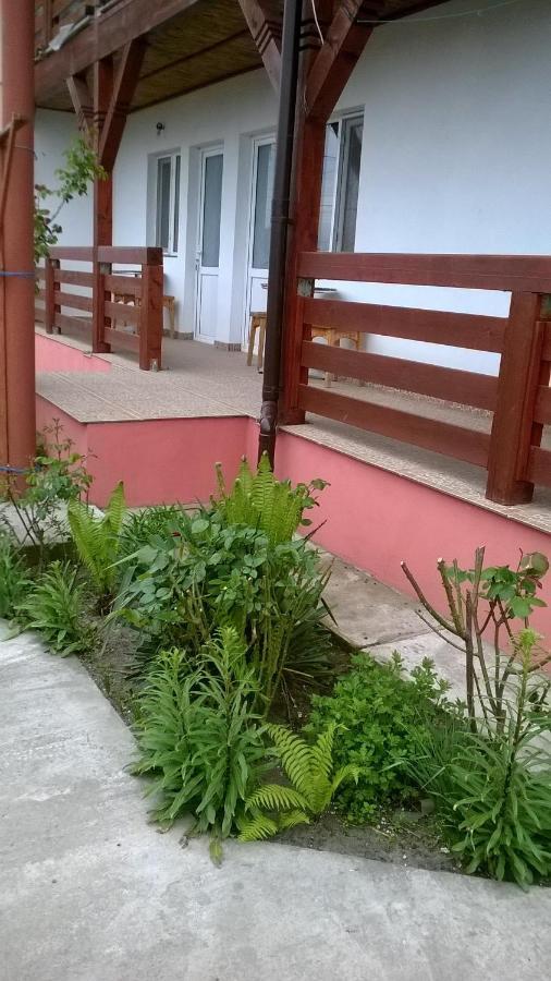 Casa Steaua De Mare Hotel Sulina Exterior photo